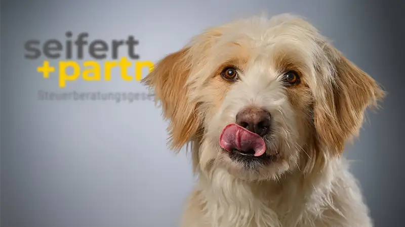 Portrait von Ludmila Wolf - Bilanzbuchhalterin und Steuerfachangestellte.